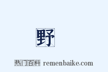 野馬是什么意思的图片